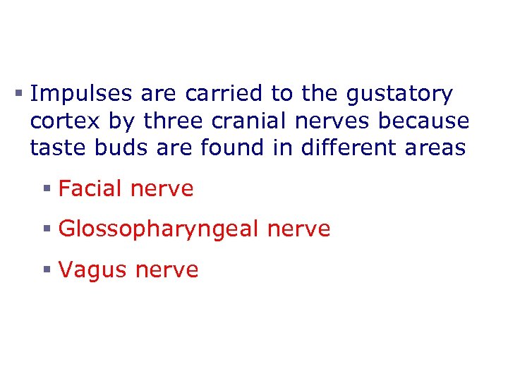 Structure of Taste Buds § Impulses are carried to the gustatory cortex by three