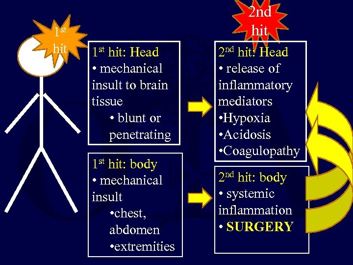 1 st hit 2 nd hit 1 st hit: Head • mechanical insult to