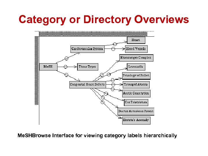 Category or Directory Overviews Me. SHBrowse Interface for viewing category labels hierarchically 