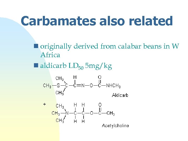 Carbamates also related n originally derived from calabar beans in W Africa n aldicarb