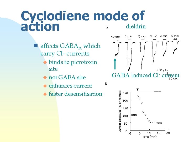 Cyclodiene mode of dieldrin action n affects GABAA which carry Cl- currents binds to