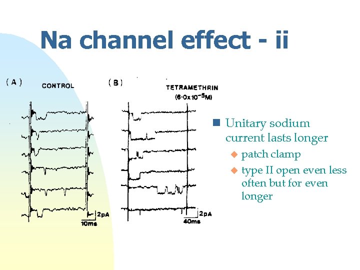 Na channel effect - ii n Unitary sodium current lasts longer patch clamp u