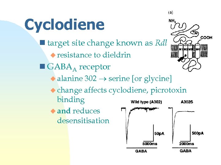 Cyclodiene n target site change known as Rdl u resistance to dieldrin n GABAA