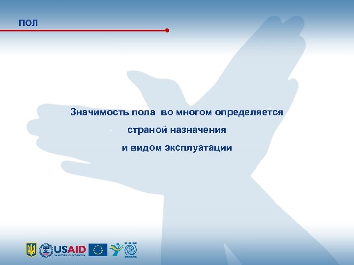 ПОЛ Значимость пола во многом определяется страной назначения и видом эксплуатации 