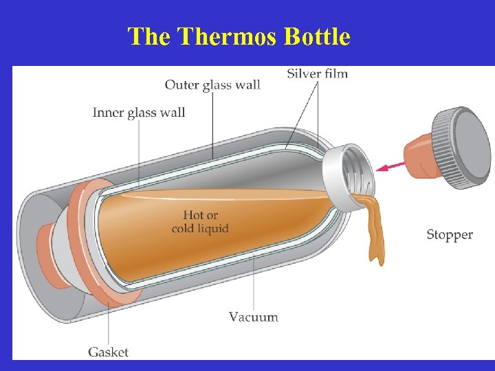 The Thermos Bottle 