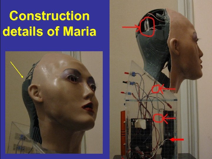 Construction details of Maria 