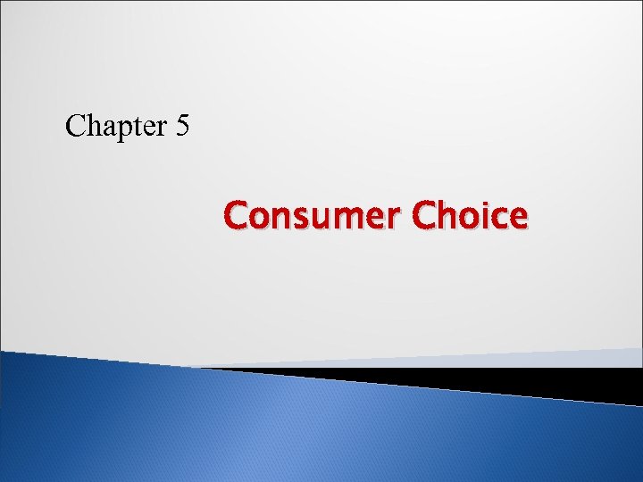 Chapter 5 Consumer Choice 