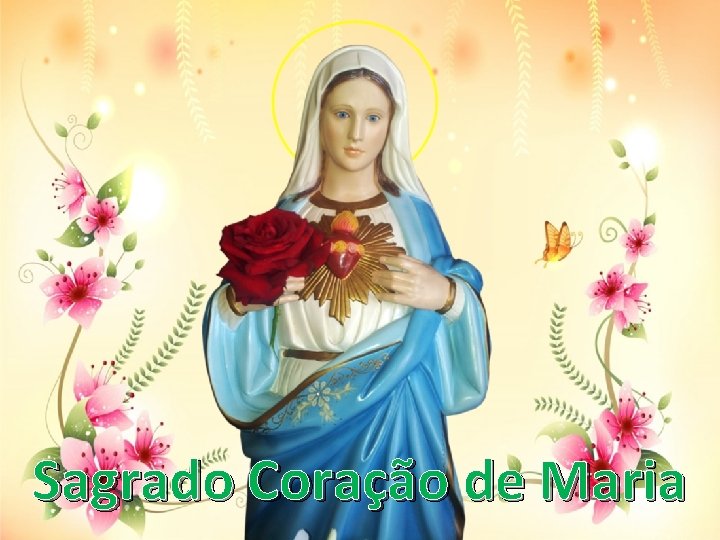 Sagrado Coração de Maria 