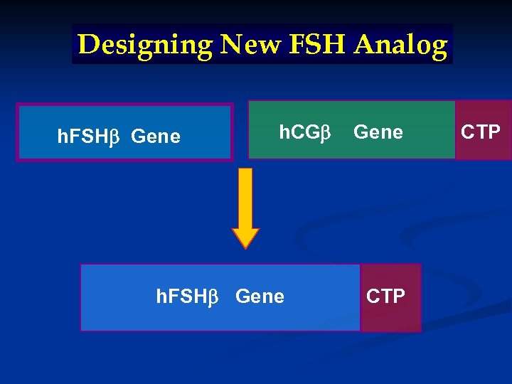 Designing New FSH Analog h. FSH Gene h. CG h. FSH Gene CTP 