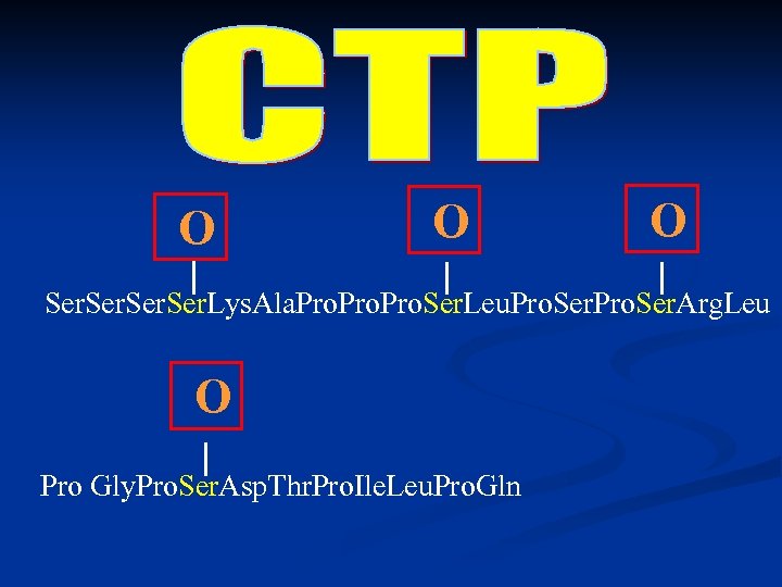 O O O Ser. Lys. Ala. Pro. Ser. Leu. Pro. Ser. Arg. Leu O