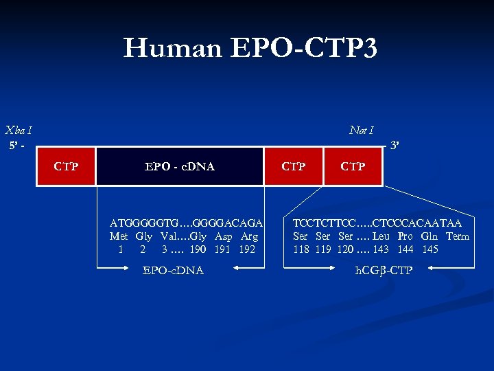 Human EPO-CTP 3 Xba I 5’ - Not I - 3’ CTP EPO -