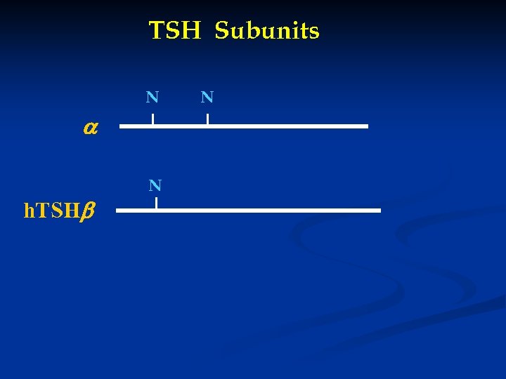 TSH Subunits N h. TSH N N 