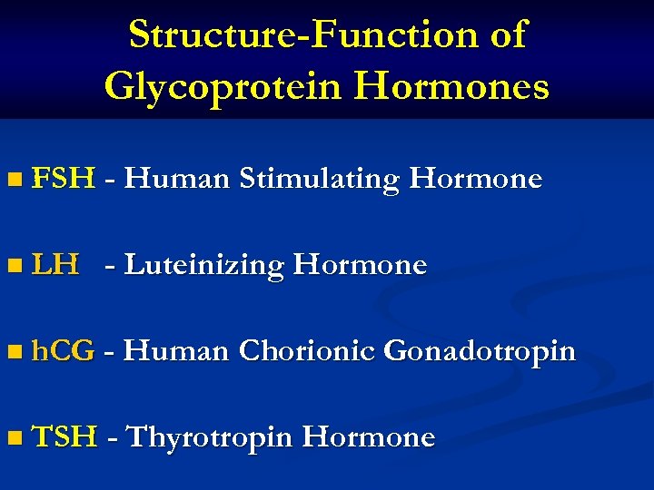 Structure-Function of Glycoprotein Hormones n FSH - Human Stimulating Hormone n LH - Luteinizing