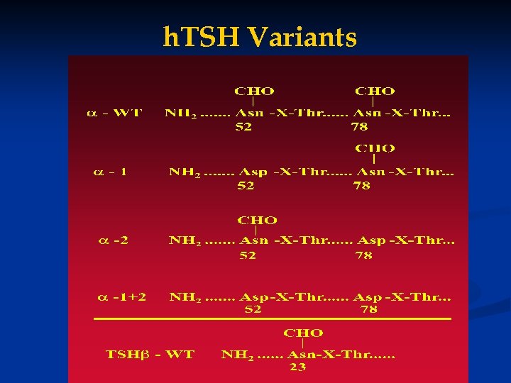 h. TSH Variants 