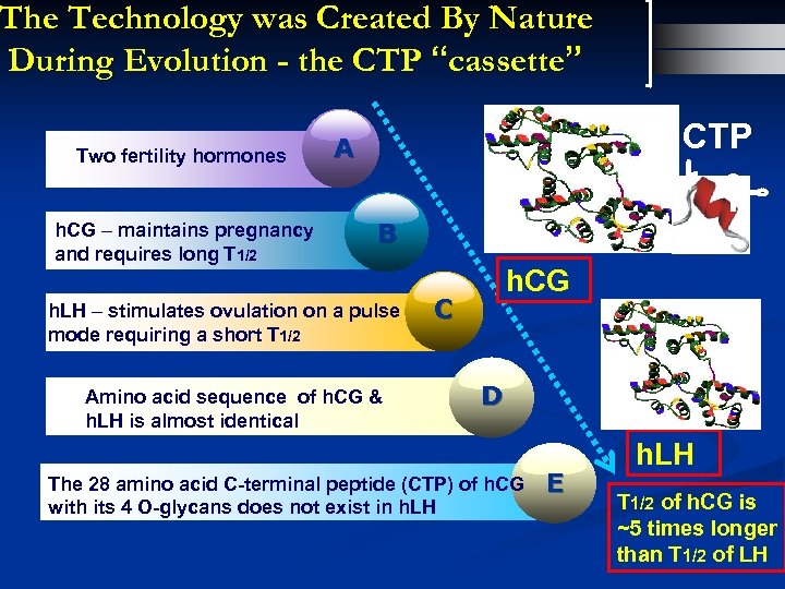 The Technology was Created By Nature During Evolution - the CTP “cassette” Two fertility