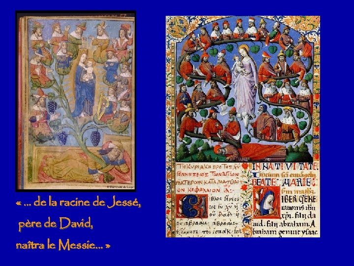  « … de la racine de Jessé, père de David, naîtra le Messie…