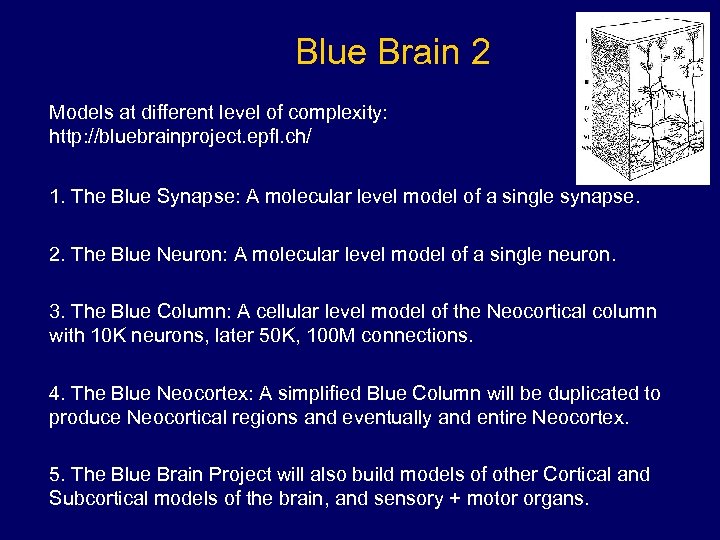 Blue Brain 2 Models at different level of complexity: http: //bluebrainproject. epfl. ch/ 1.