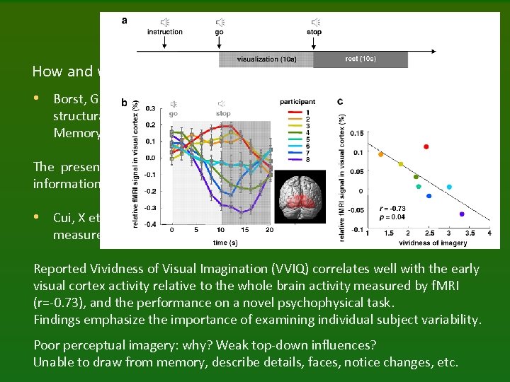 Imagery and brains How and where are mental images formed? • Borst, G. ,
