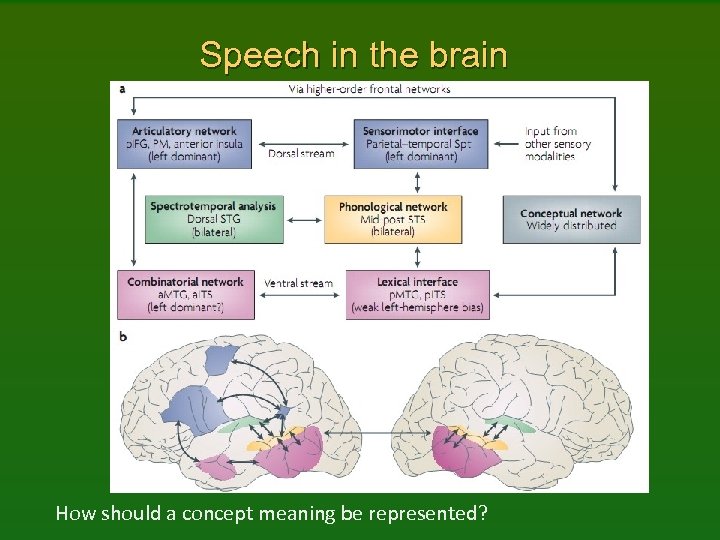 Speech in the brain How should a concept meaning be represented? 