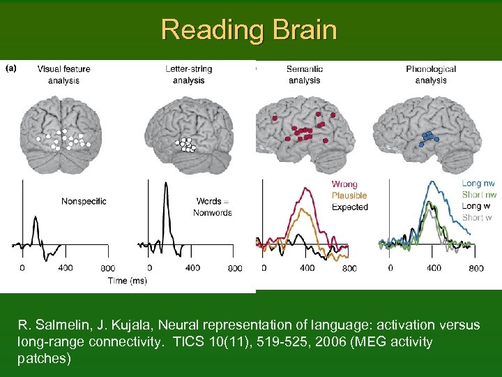 Reading Brain R. Salmelin, J. Kujala, Neural representation of language: activation versus long-range connectivity.