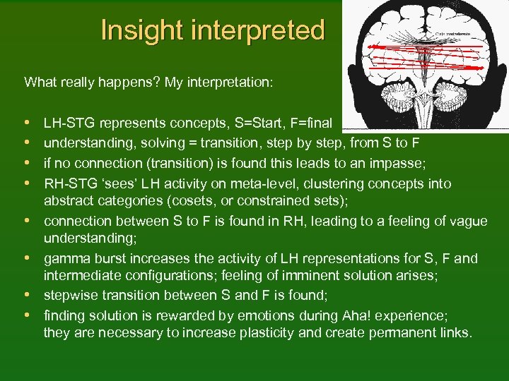 Insight interpreted What really happens? My interpretation: • • LH-STG represents concepts, S=Start, F=final