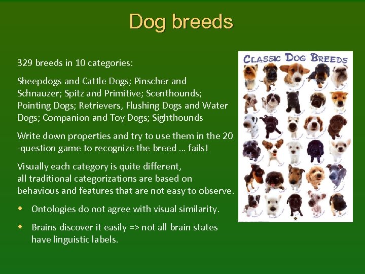 Dog breeds 329 breeds in 10 categories: Sheepdogs and Cattle Dogs; Pinscher and Schnauzer;