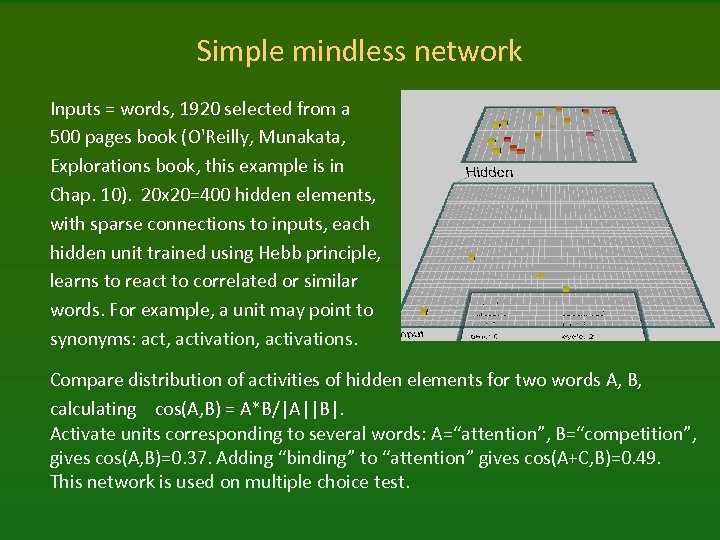 Simple mindless network Inputs = words, 1920 selected from a 500 pages book (O'Reilly,