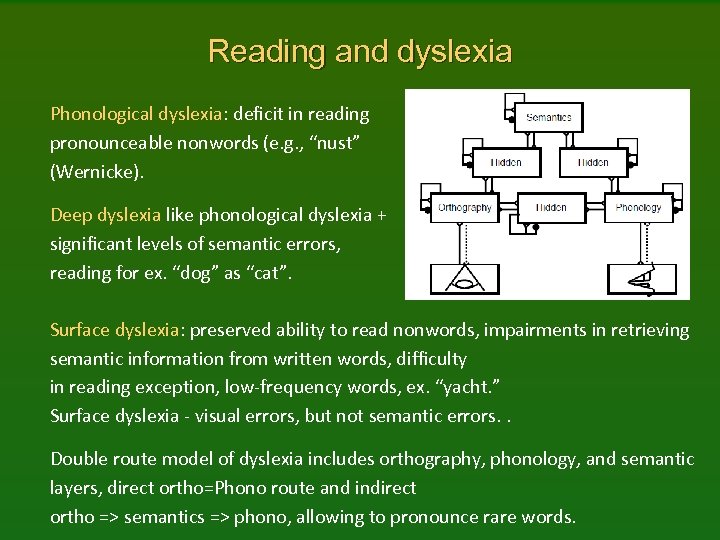 Reading and dyslexia Phonological dyslexia: deﬁcit in reading pronounceable nonwords (e. g. , “nust”