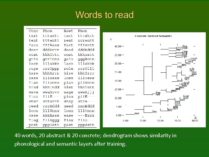 Words to read 40 words, 20 abstract & 20 concrete; dendrogram shows similarity in