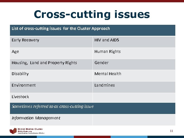 Cross-cutting issues List of cross-cutting issues for the Cluster Approach Early Recovery HIV and