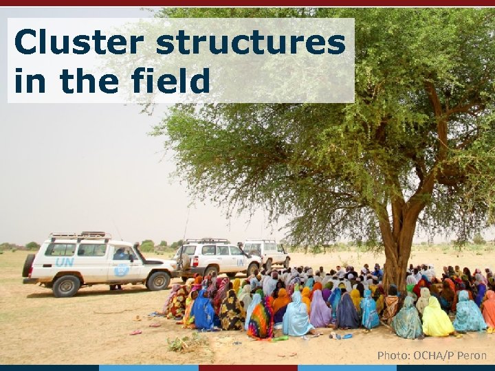 Cluster structures in the field Global Shelter Cluster Shelter. Cluster. org Coordinating Humanitarian Shelter