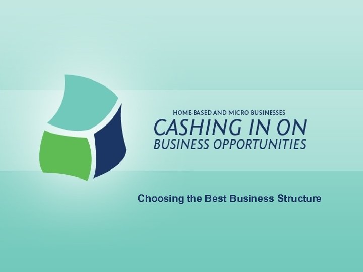 Choosing the Best Business Structure 