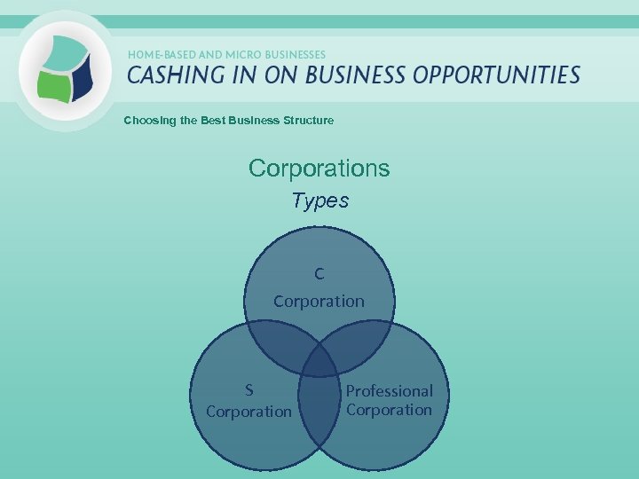 Choosing the Best Business Structure Corporations Types C Corporation S Corporation Professional Corporation 