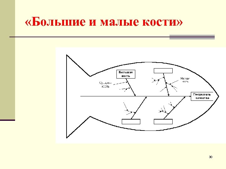  «Большие и малые кости» 30 