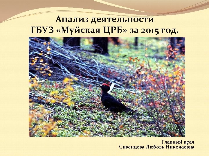 Анализ деятельности ГБУЗ «Муйская ЦРБ» за 2015 год. Главный врач Сивенцева Любовь Николаевна 