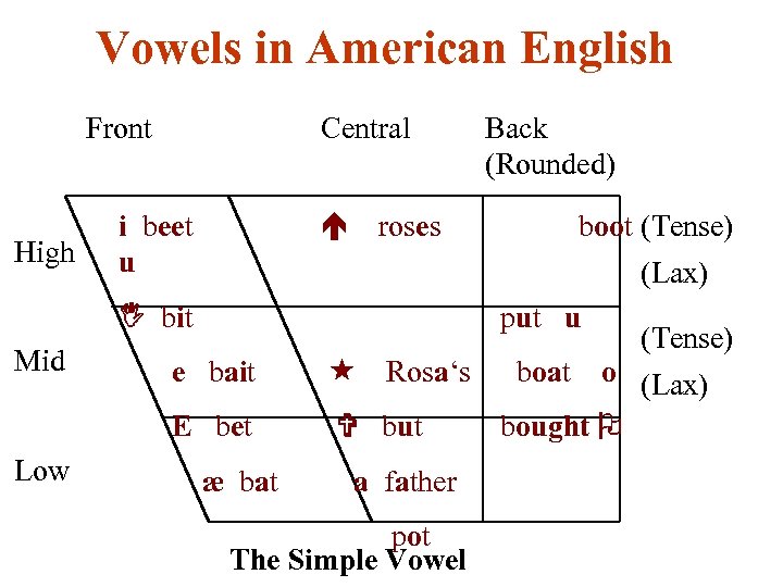 Vowels in American English Front High Central i beet u roses put u e