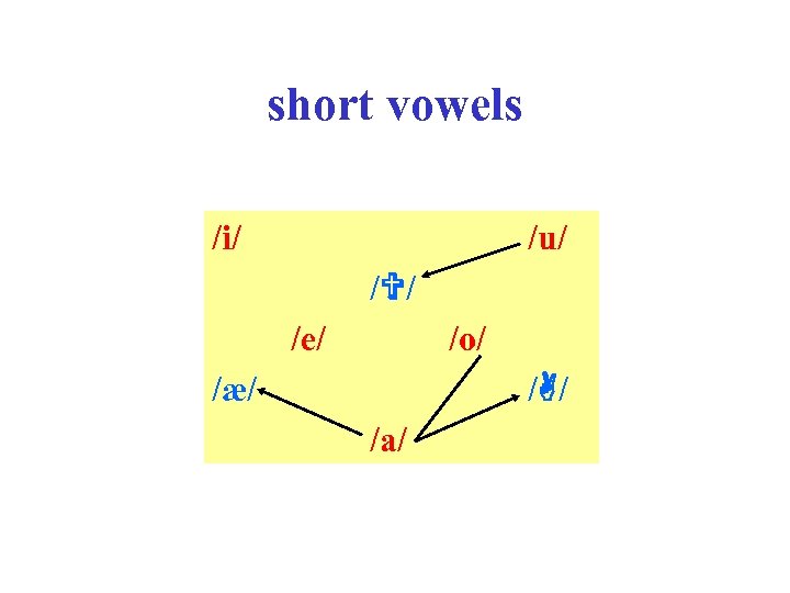 short vowels /i/ /u/ / / /e/ /æ/ /o/ / / /a/ 