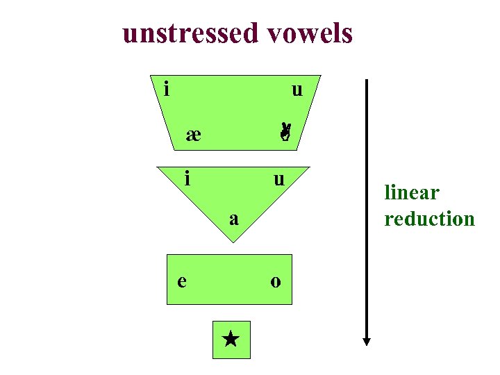 unstressed vowels i u æ i u a e o linear reduction 