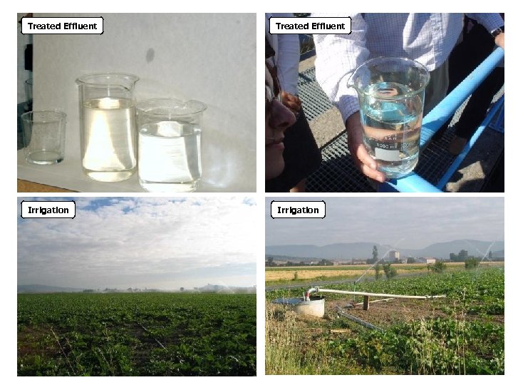 Treated Effluent Irrigation 
