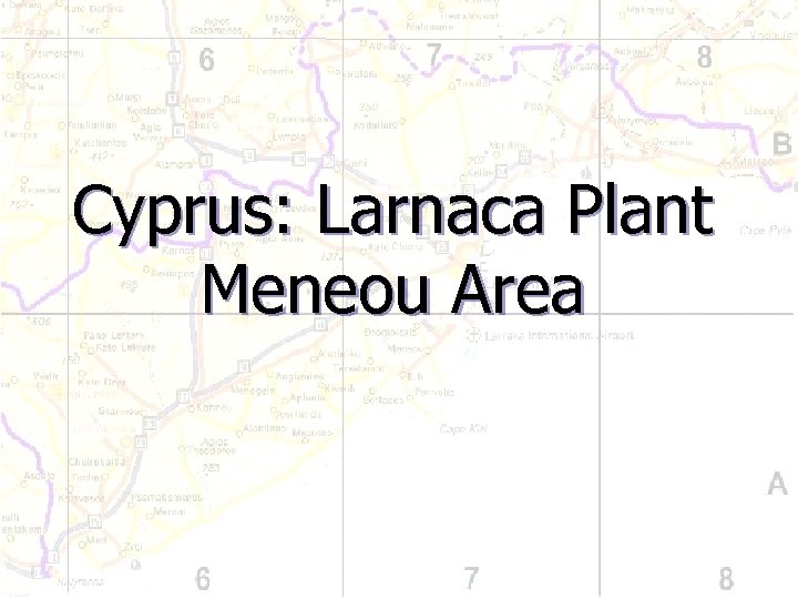 Cyprus: Larnaca Plant Meneou Area 