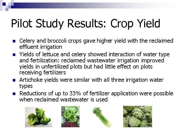 Pilot Study Results: Crop Yield n n Celery and broccoli crops gave higher yield