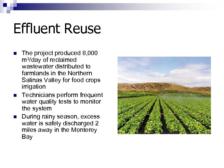 Effluent Reuse n n n The project produced 8, 000 m 3/day of reclaimed