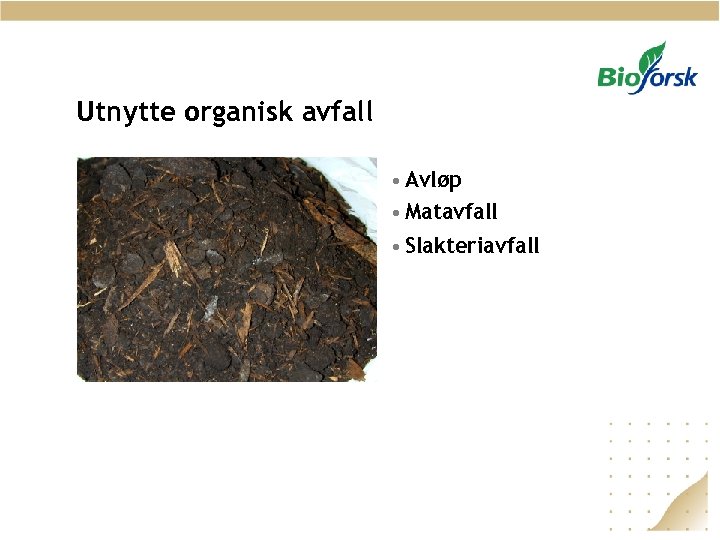 Utnytte organisk avfall • Avløp • Matavfall • Slakteriavfall 