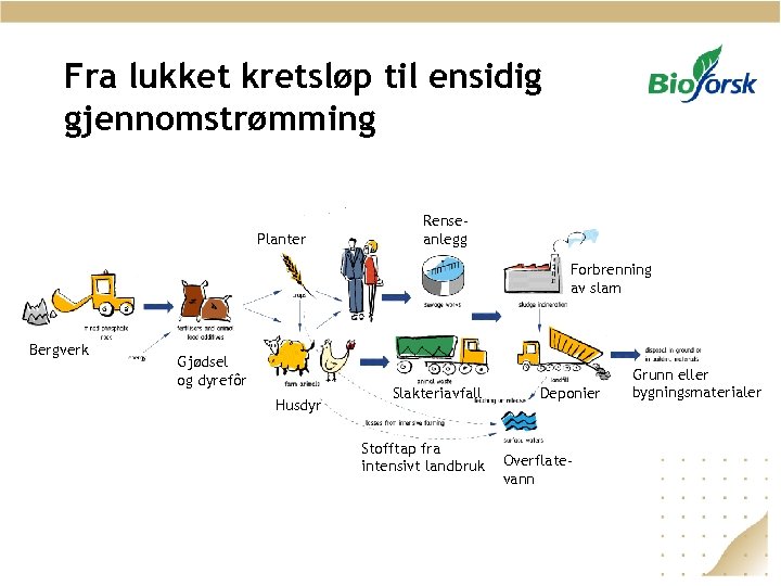 Fra lukket kretsløp til ensidig gjennomstrømming Planter Renseanlegg Forbrenning av slam Bergverk Gjødsel og