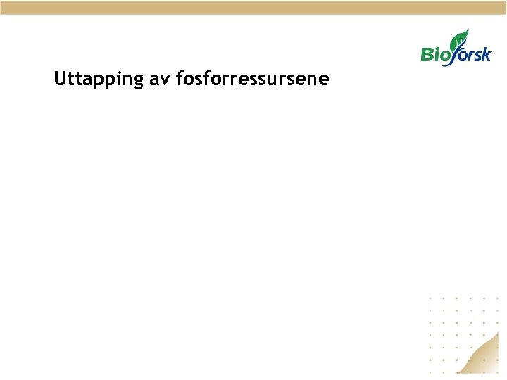 Uttapping av fosforressursene 