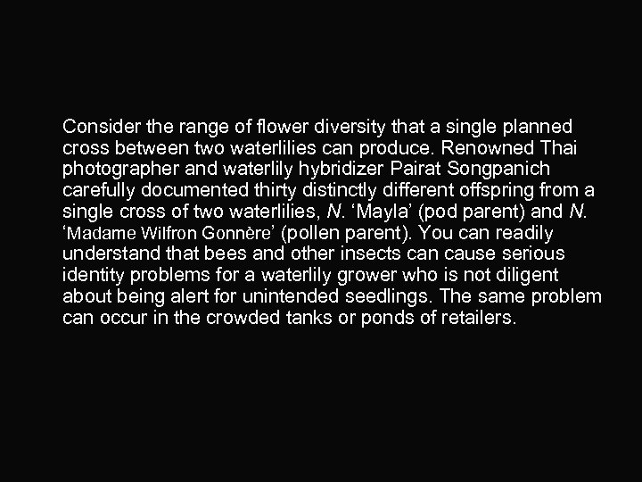 Consider the range of flower diversity that a single planned cross between two waterlilies