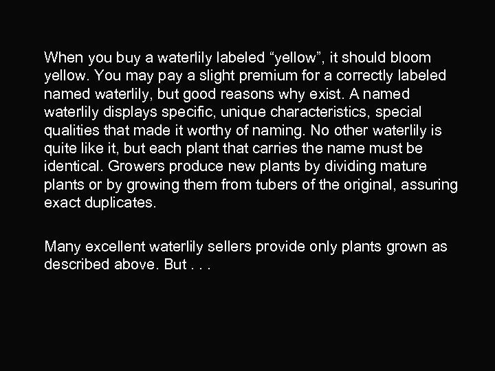 When you buy a waterlily labeled “yellow”, it should bloom yellow. You may pay