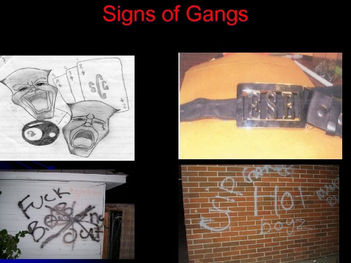 Signs of Gangs 