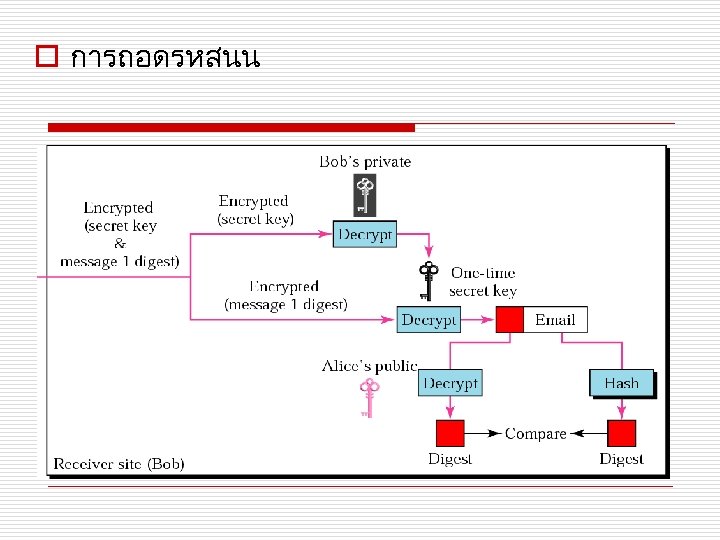 o การถอดรหสนน 