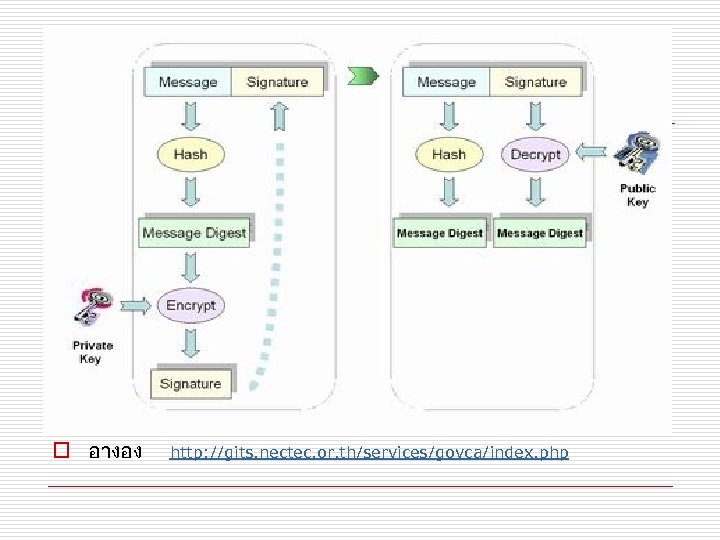 o อางอง http: //gits. nectec. or. th/services/govca/index. php 